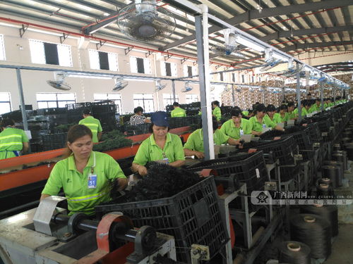 南寧“回馬槍”行動 網絡工程助力，15噸問題凍肉現原形