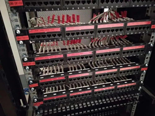 弱電工程網絡模塊與配線架端接標準化操作指南